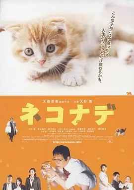 小猫奇缘